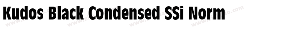 Kudos Black Condensed SSi Normal字体转换